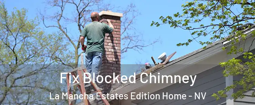 Fix Blocked Chimney La Mancha Estates Edition Home - NV