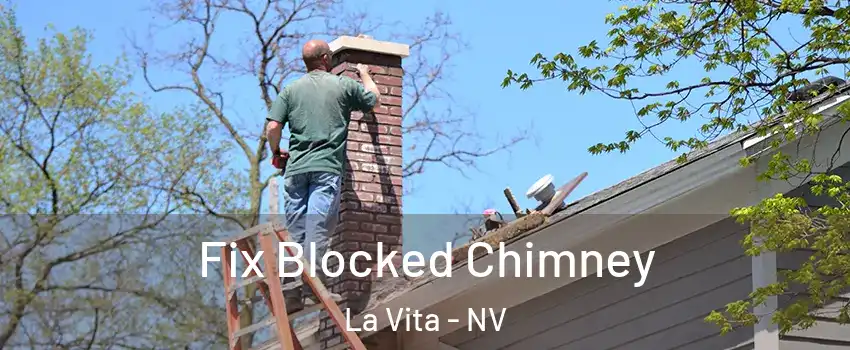 Fix Blocked Chimney La Vita - NV