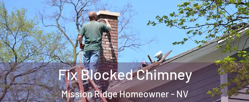 Fix Blocked Chimney Mission Ridge Homeowner - NV