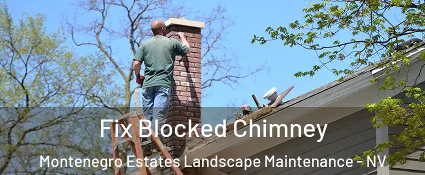 Fix Blocked Chimney Montenegro Estates Landscape Maintenance - NV