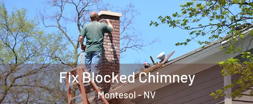 Fix Blocked Chimney Montesol - NV