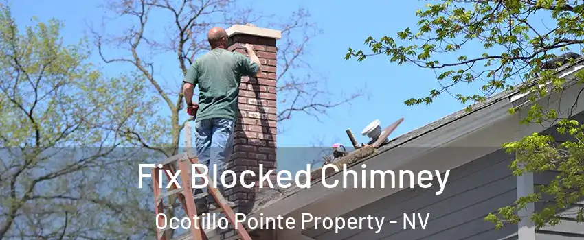 Fix Blocked Chimney Ocotillo Pointe Property - NV