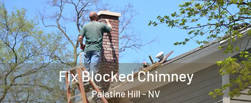 Fix Blocked Chimney Palatine Hill - NV