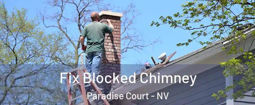 Fix Blocked Chimney Paradise Court - NV