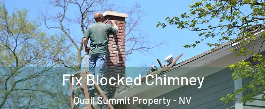 Fix Blocked Chimney Quail Summit Property - NV