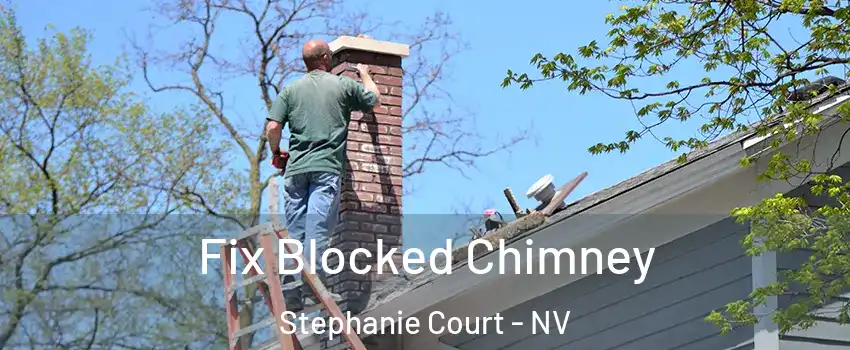 Fix Blocked Chimney Stephanie Court - NV
