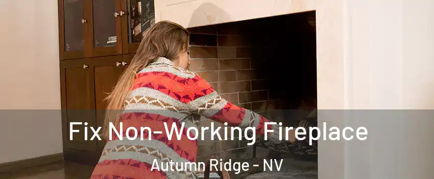Fix Non-Working Fireplace Autumn Ridge - NV
