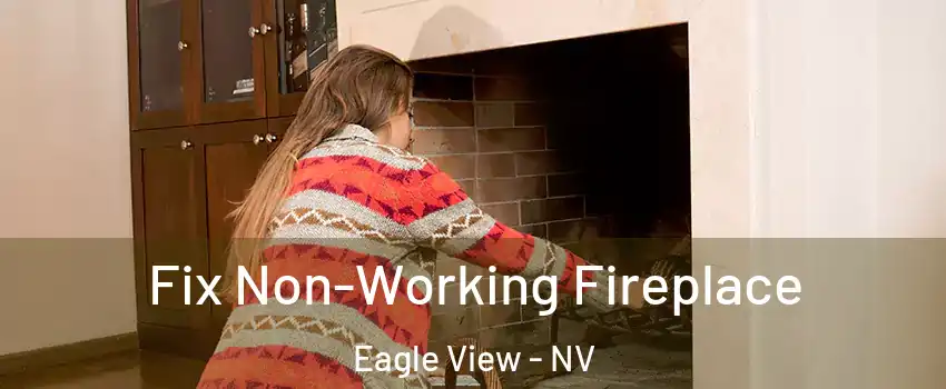 Fix Non-Working Fireplace Eagle View - NV