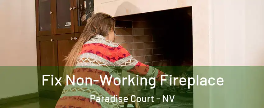 Fix Non-Working Fireplace Paradise Court - NV