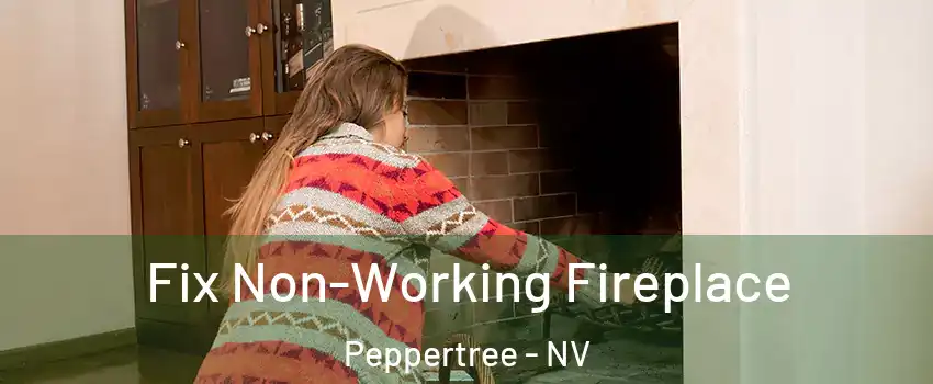Fix Non-Working Fireplace Peppertree - NV