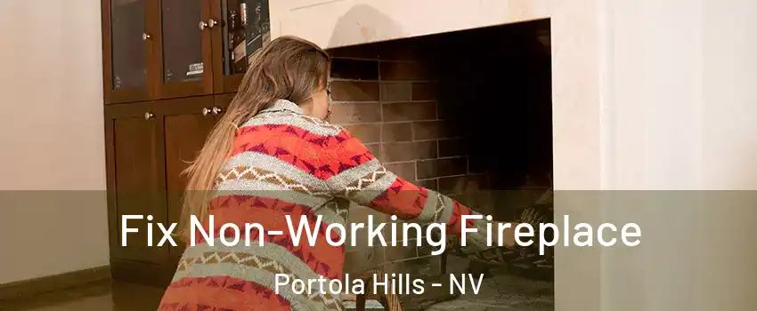 Fix Non-Working Fireplace Portola Hills - NV
