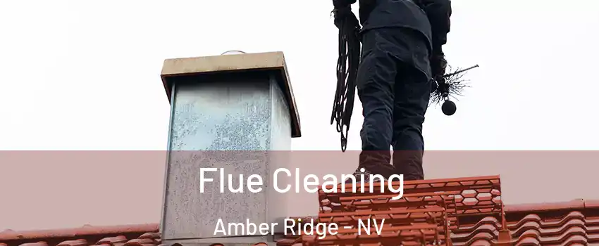 Flue Cleaning Amber Ridge - NV