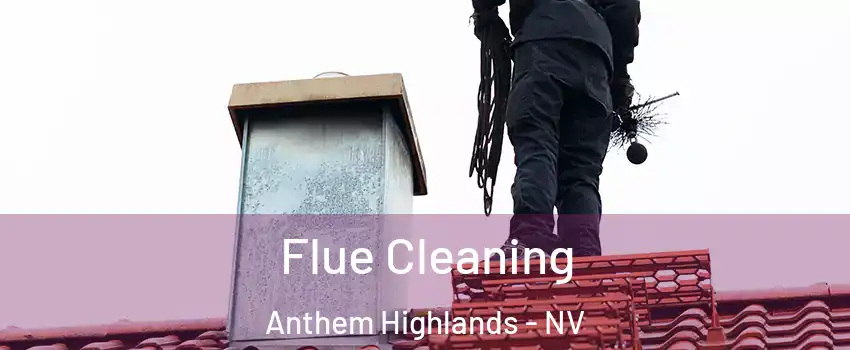 Flue Cleaning Anthem Highlands - NV