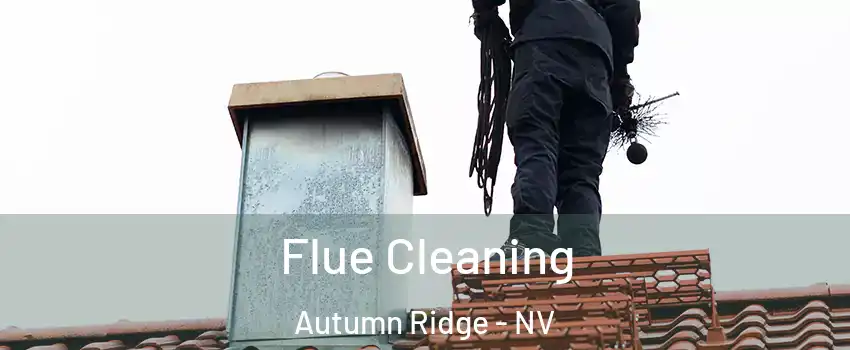 Flue Cleaning Autumn Ridge - NV
