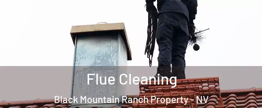 Flue Cleaning Black Mountain Ranch Property - NV