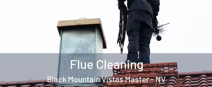 Flue Cleaning Black Mountain Vistas Master - NV