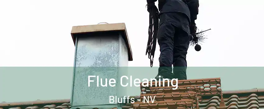 Flue Cleaning Bluffs - NV