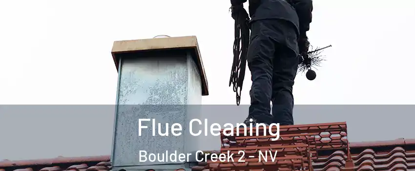 Flue Cleaning Boulder Creek 2 - NV