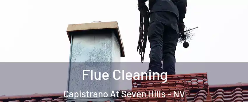 Flue Cleaning Capistrano At Seven Hills - NV