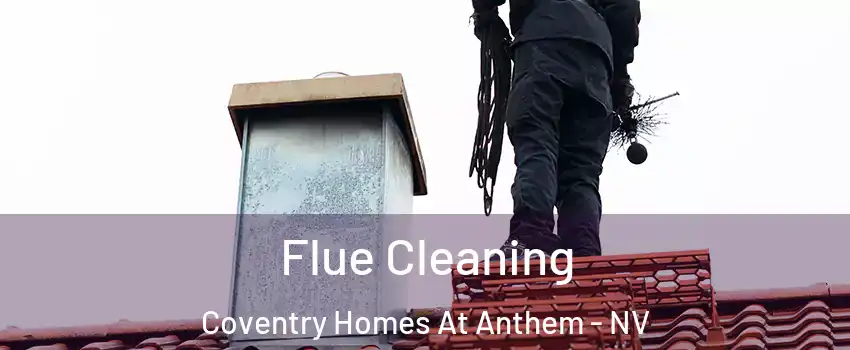 Flue Cleaning Coventry Homes At Anthem - NV