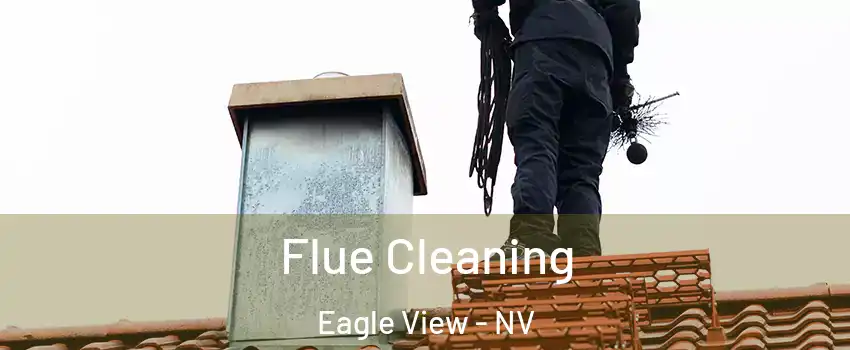 Flue Cleaning Eagle View - NV