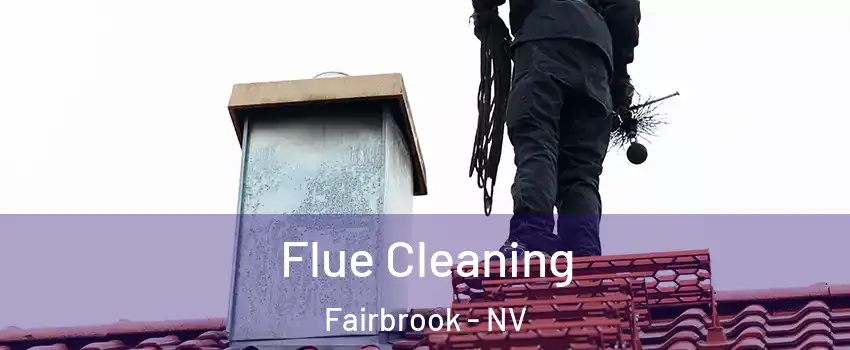 Flue Cleaning Fairbrook - NV