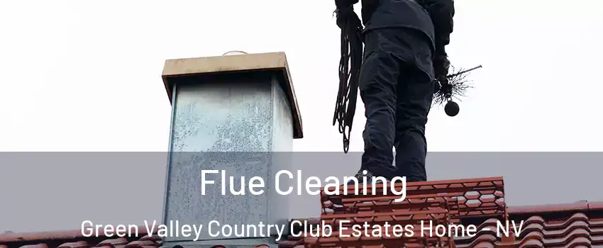 Flue Cleaning Green Valley Country Club Estates Home - NV