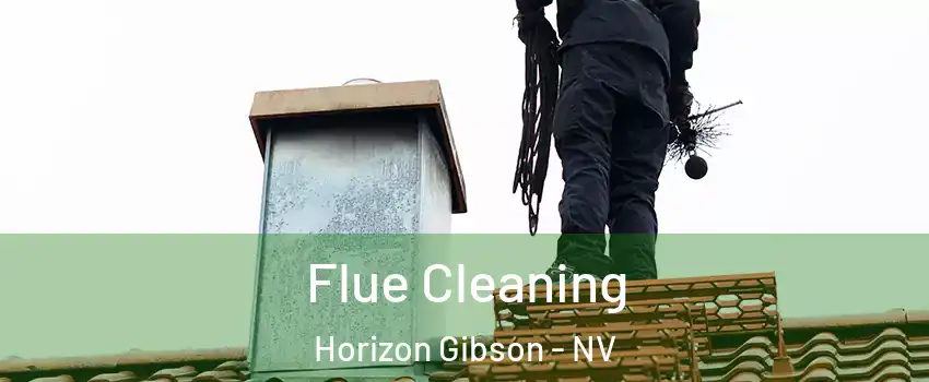 Flue Cleaning Horizon Gibson - NV