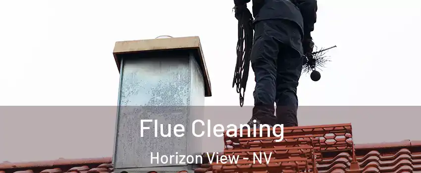 Flue Cleaning Horizon View - NV