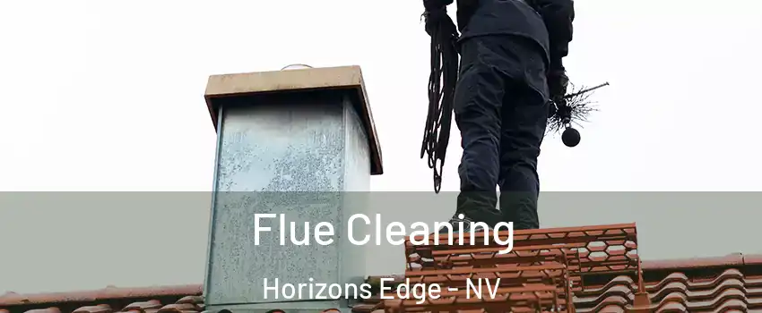 Flue Cleaning Horizons Edge - NV