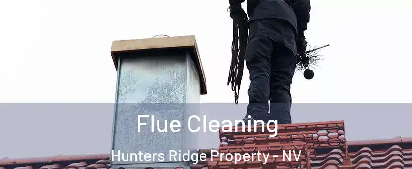 Flue Cleaning Hunters Ridge Property - NV
