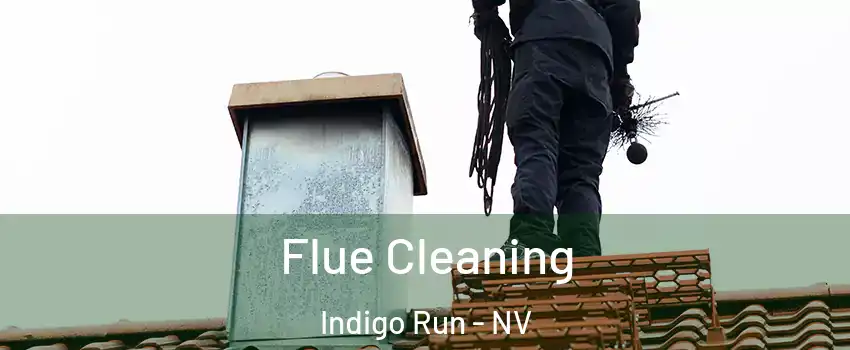 Flue Cleaning Indigo Run - NV