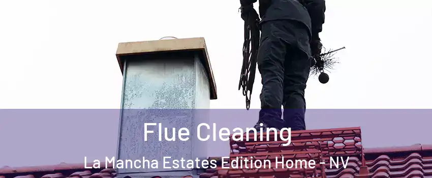 Flue Cleaning La Mancha Estates Edition Home - NV