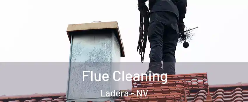 Flue Cleaning Ladera - NV