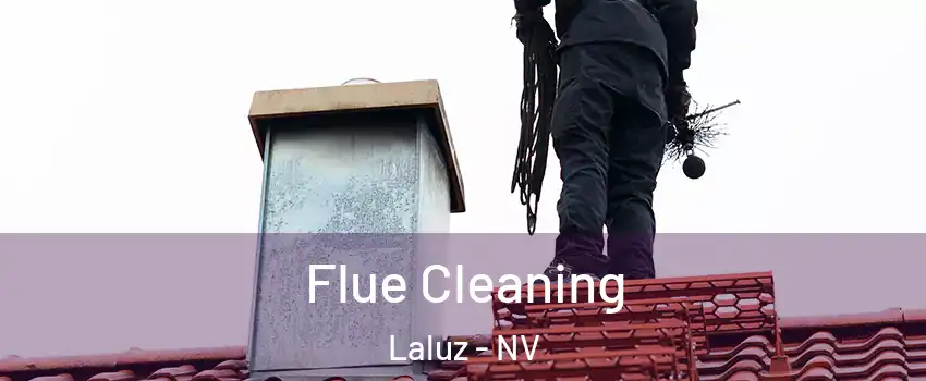Flue Cleaning Laluz - NV