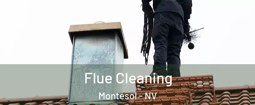 Flue Cleaning Montesol - NV