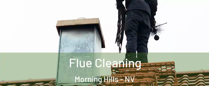 Flue Cleaning Morning Hills - NV