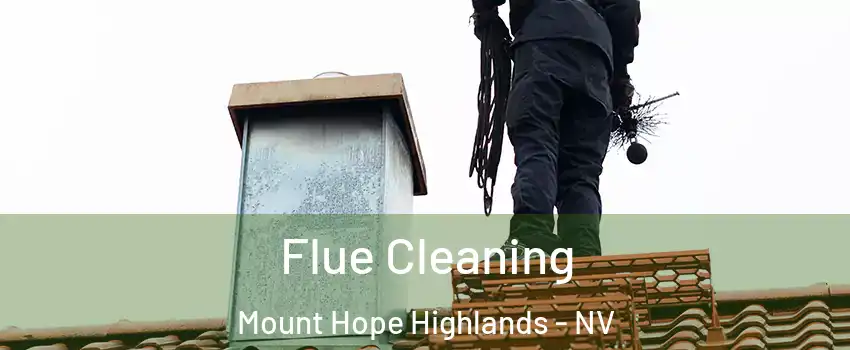 Flue Cleaning Mount Hope Highlands - NV
