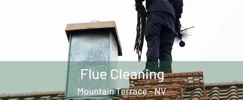 Flue Cleaning Mountain Terrace - NV