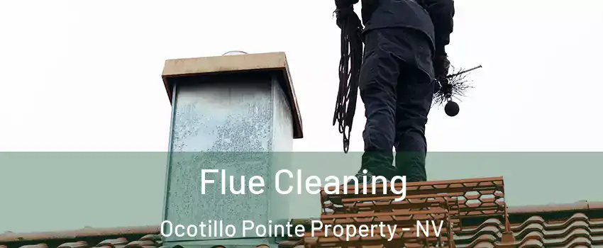 Flue Cleaning Ocotillo Pointe Property - NV