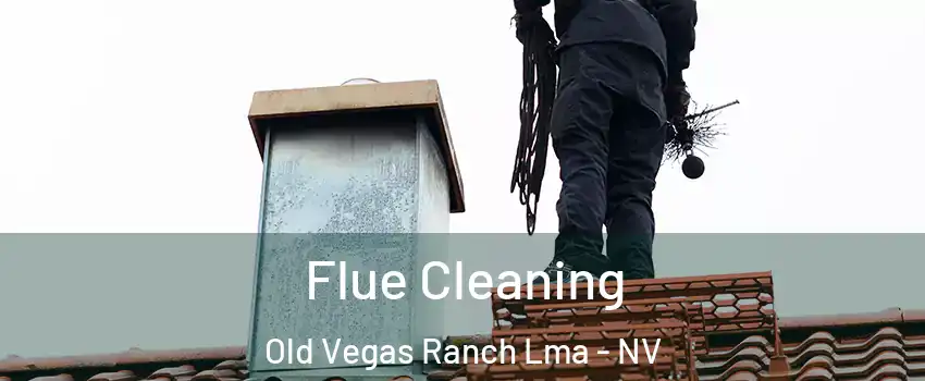 Flue Cleaning Old Vegas Ranch Lma - NV
