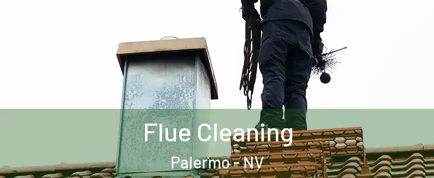 Flue Cleaning Palermo - NV