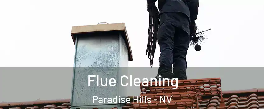 Flue Cleaning Paradise Hills - NV