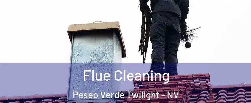 Flue Cleaning Paseo Verde Twilight - NV