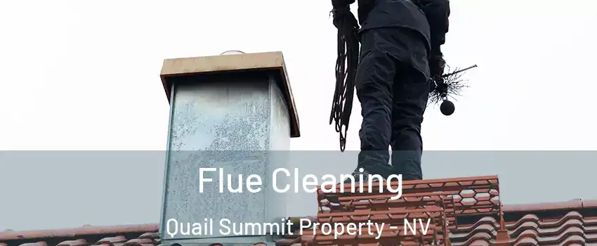 Flue Cleaning Quail Summit Property - NV