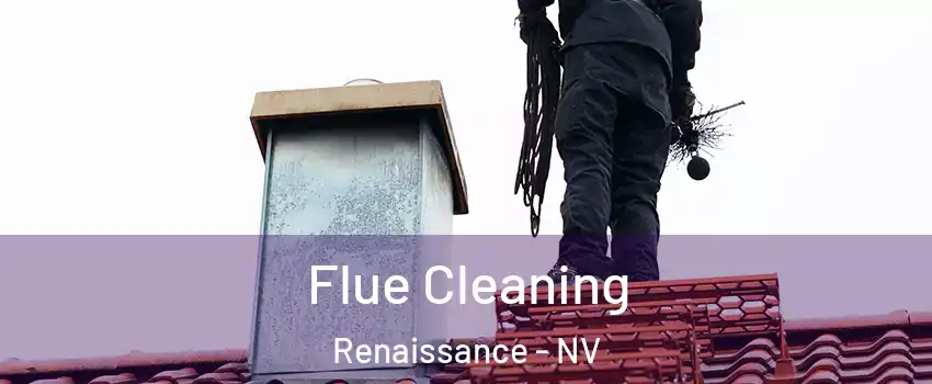 Flue Cleaning Renaissance - NV