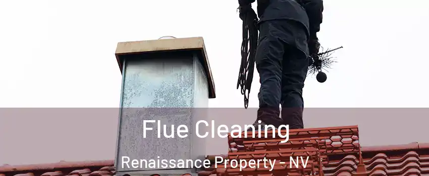 Flue Cleaning Renaissance Property - NV