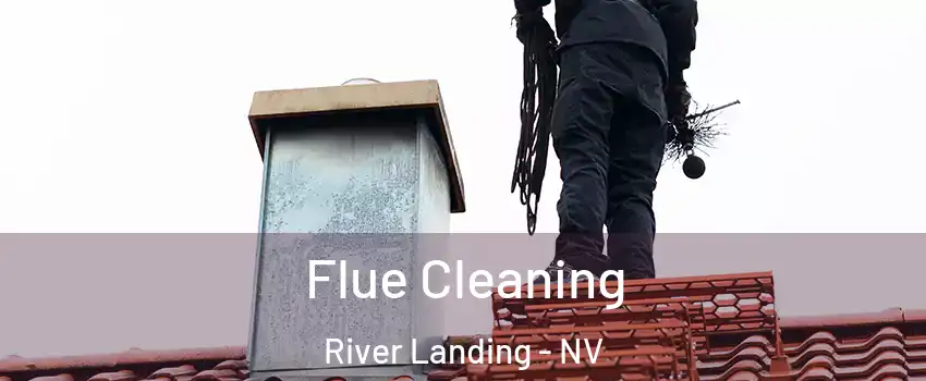 Flue Cleaning River Landing - NV