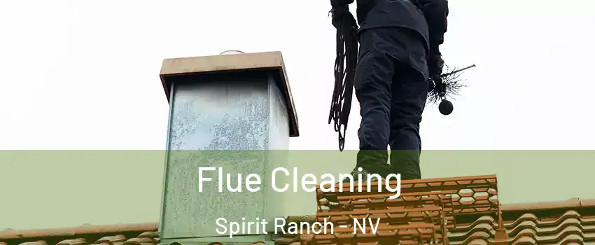 Flue Cleaning Spirit Ranch - NV