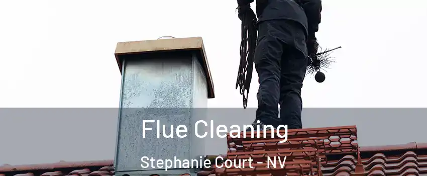 Flue Cleaning Stephanie Court - NV